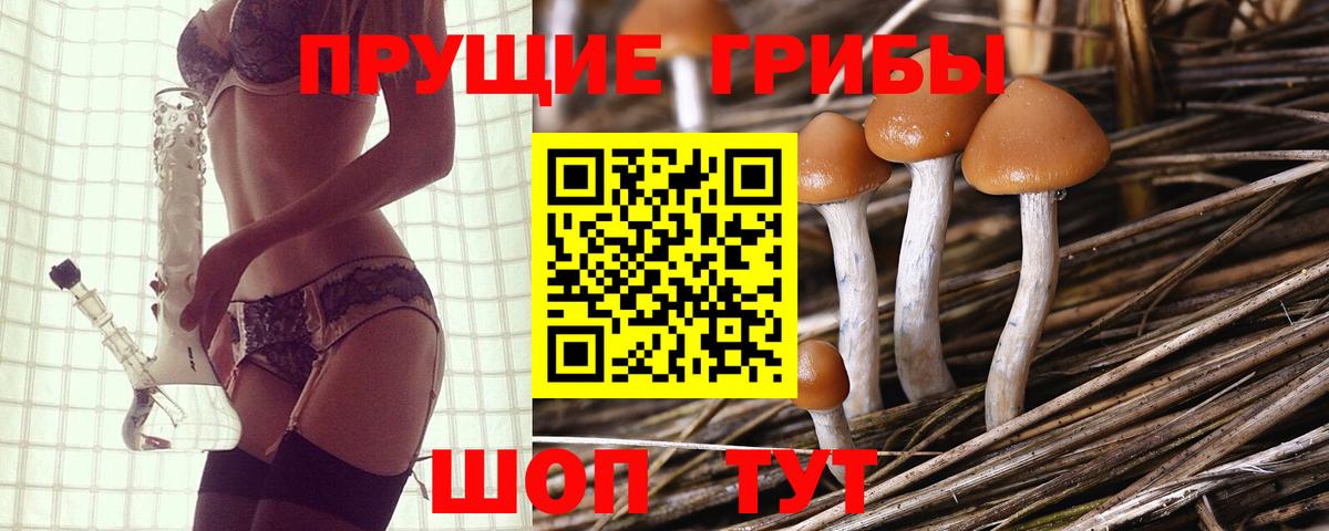 Уварово  как найти   Вход с VPN  Псилоцибиновые грибы мухоморы 